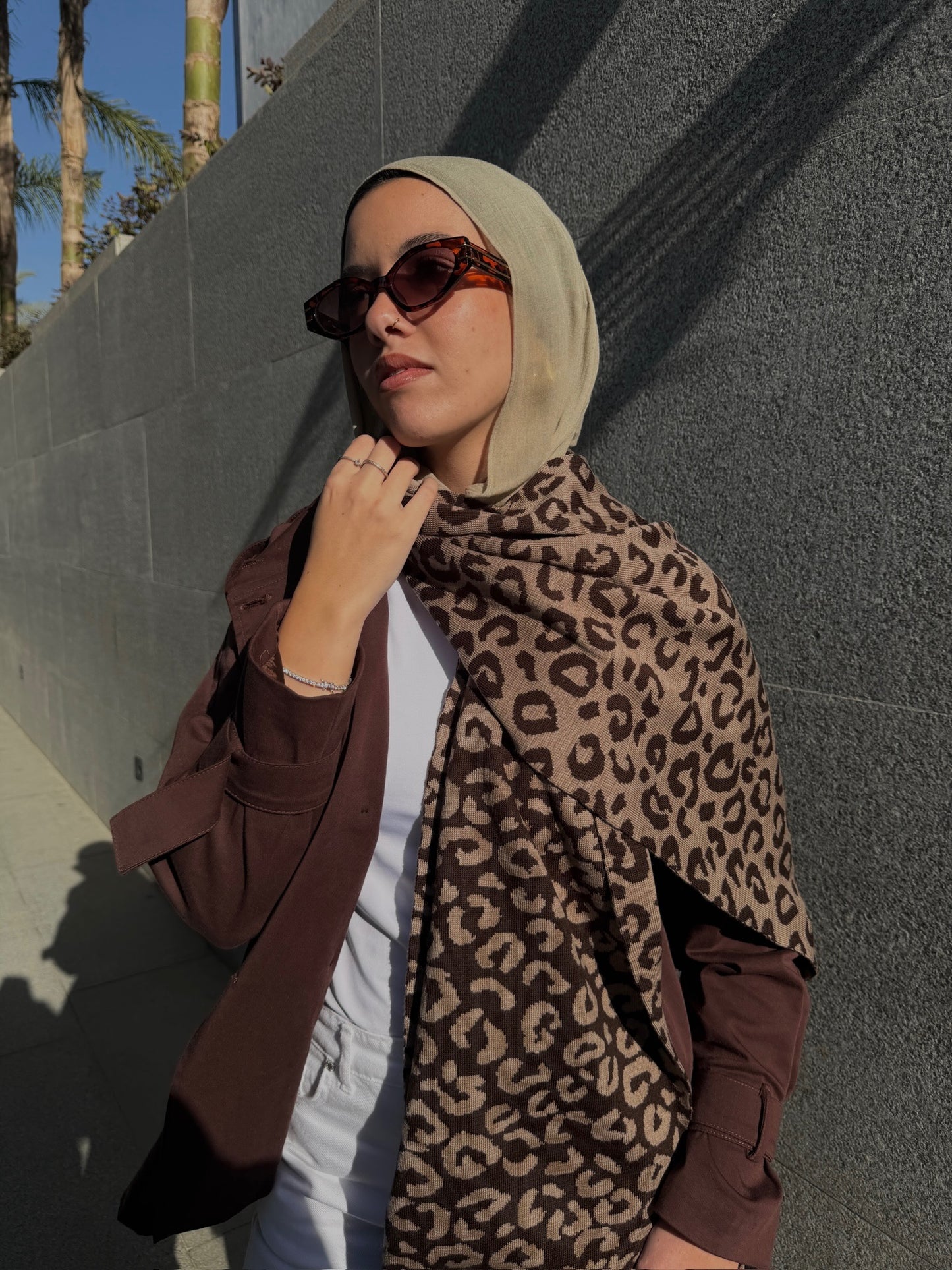 Signature Leopard Scarf in Brown